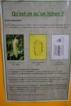 Explications