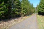 Mais le salut est de retrouver une route forestière