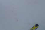 Descente, ne pas lâcher ces traces