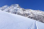 Hübschhorn