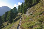 Très bref passage en forêt vers le P2292