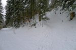La suite par le chemin d'été
