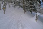 Au-dessus de Le Rez, retour en forêt