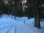 Après Solalex, on traverse brièvement une forêt