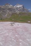 Les Diablerets au fond