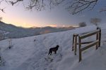 La clairière de Meyersbuhl sous Ilienkopf