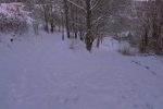 Nous descendons vers la ferme des chevaux