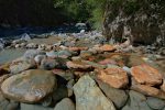 Depuis le bassin, vue sur l'eau qui s'écoule dans la rivière