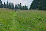 On traverse un mur de pierres sèches, avec le pratique système d'encoche