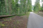 Sur la gauche, il y a un chemin qui rejoint la source de l'Areuse, allons-y !