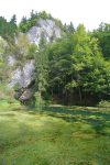 Vue sur la source de l'Areuse