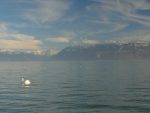 Le lac Léman et les Alpes