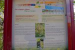 Il y a toute une série de panneaux sur la vigne à Vully