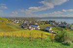 Les vignobles de Vully. Praz en bas et le lac de Morat.