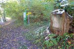 En forêt pour arriver à côté du bloc erratique