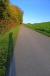 On sort de la forêt et on longe la route