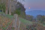 Il me reste la lune.