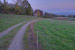 Sur le Mont de Nant.