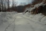 Suite par la route forestière à l'O