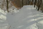 Descente par le chemin d'été (trace d'animaux)