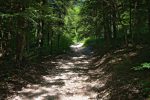 Le chemin de montagne, avec un long passage en forêt