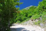 La route de radoucit ... enfin et on sort doucement de la forêt