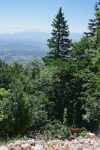 Ce secteur est réputé pour ses chamois. Celui-ci n'était pas peureux du tout !