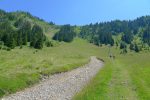 Après un droit en haut, je longe la route