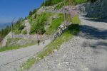 D'autres pratiquent le sport à la descente !
