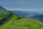 Vue sur la France, direction Bernex