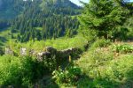 La ruine de Neuva dessus