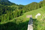 Toujours depuis cette ruine. Le chemin descend, une ancienne trace continue tout droit (barrée)
