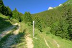 ... pour retrouver la piste de ski. On vient du chemin de droite