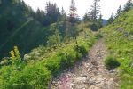 On arrive au col de Pertuis