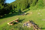 Je coupe court pour retrouver une route forestière
