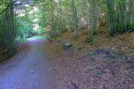 Bois de la Corne