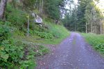On quitte la route forestière pour un chemin