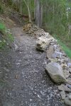 Sinon cela reste un chemin dans la forêt