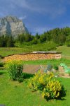 Jardin potager et Dent de Bonavau