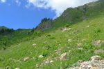 Le champ est un mélange de cailloux et d'herbe