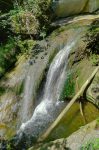 Dommage que ce tronc d'arbre vienne gâcher la photo.