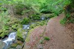 Gorge de Douanne.