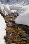 De l'eau, enfin à boire !