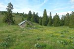 La citerne avant la cabane