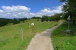 je quitte le sentier des crêtes pour celui via le pâturage, plus intéressant selon moi