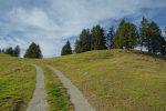 Le chemin part à droite pour passer devant les pins