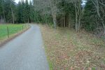 Un peu de route puis la dernière traversée en forêt