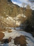 Il faut quand même chercher la neige ! Une mauvaise manipulation et je casse la vis en plastique d'un des bâtons téléscopiques. Zut !