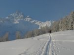 Dans cette clairière, 1200m, la vue sur la Cime de l'Est est magnifique. C'est presque émouvant !