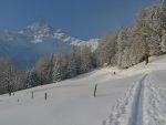 Puis on traverse la forêt, par le chemin d'été